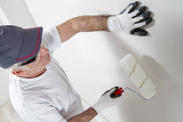 Best Wallpaper Removal and Painting  in Whiteland, IN