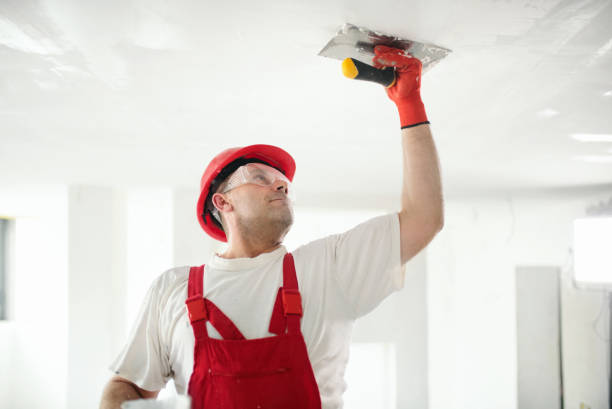 Best Drywall Crack Repair  in Whiteland, IN